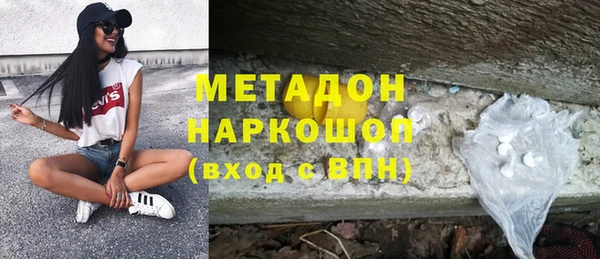 стаф Алзамай
